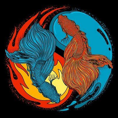 Koi Fish Meet Yin and Yang: A Cultural and Symbolic Exploration.